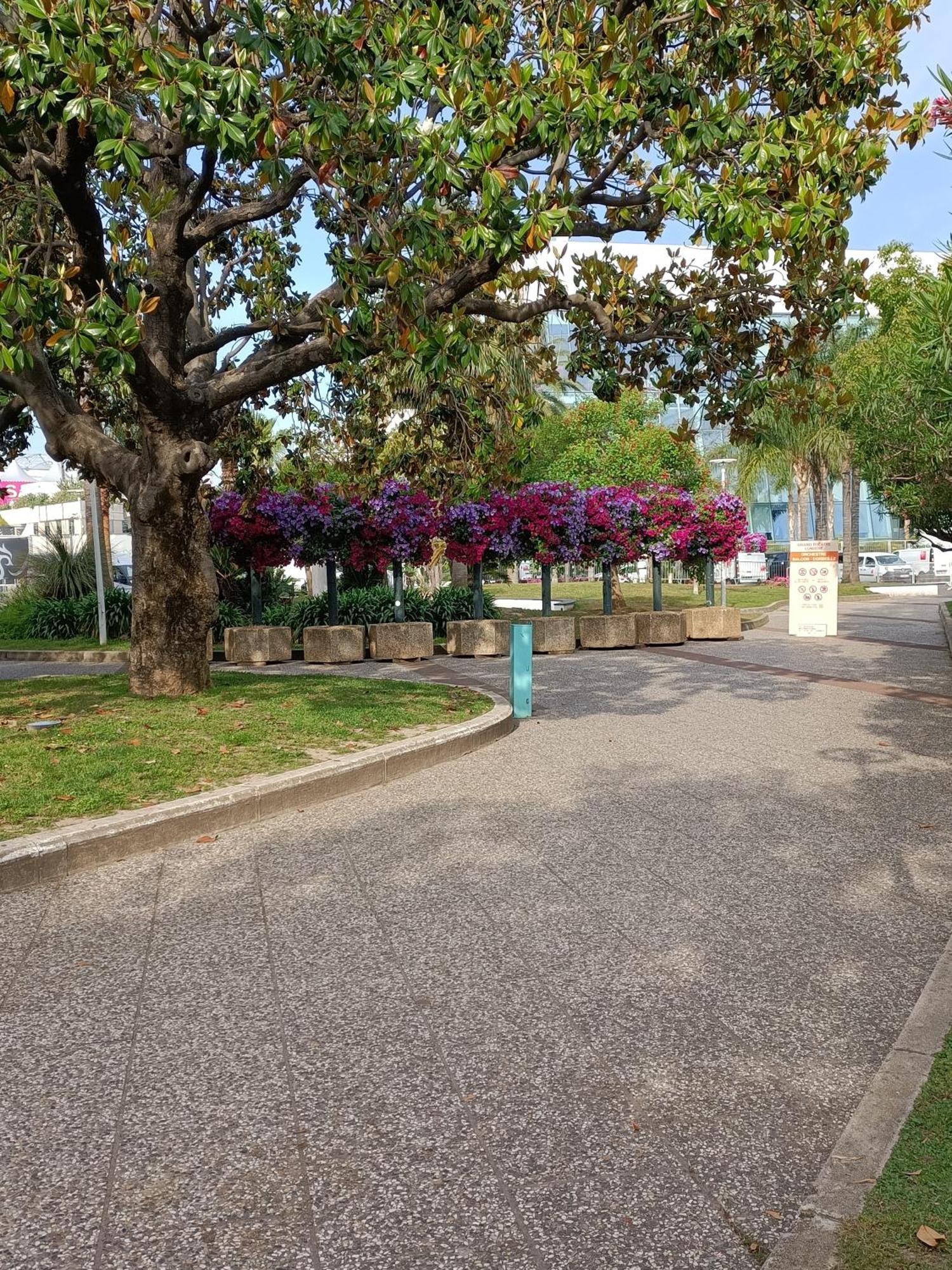 Gallieni Daire Cannes Dış mekan fotoğraf